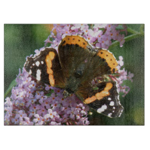 Red Admiral Butterfly und Buddleiic Cutting Board Schneidebrett
