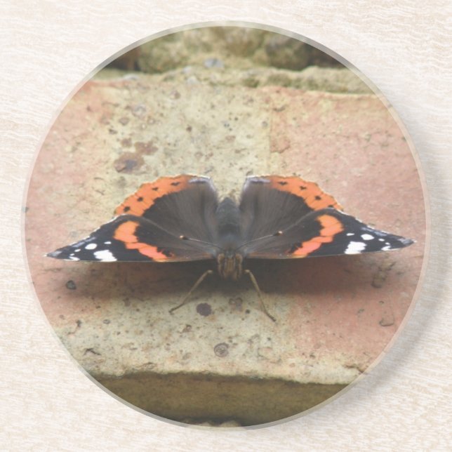 Red Admiral Butterfly Untersetzer (Vorne)