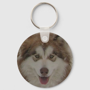 Red Alaskan Malamute Schlüsselanhänger