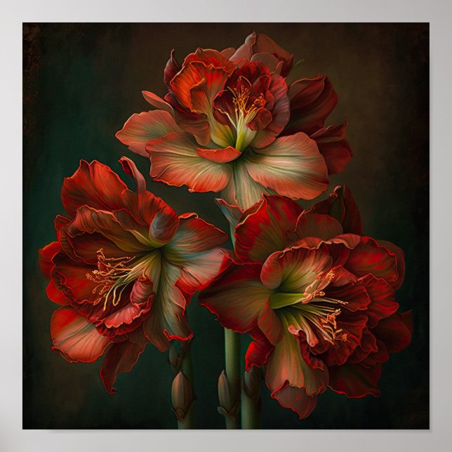 Red Amaryllis Blume Art Print Poster (Vorne)