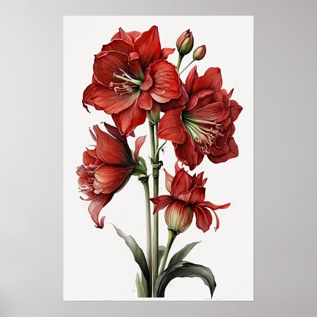 Red Amaryllis Blume Art Print Poster (Vorne)