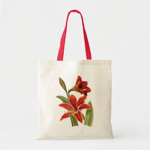 Red Amaryllis Botanical Print Tragetasche
