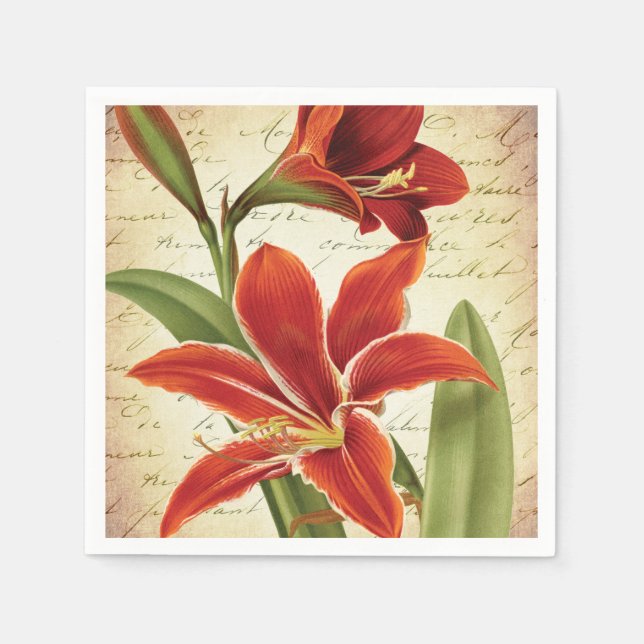 Red Amaryllis Christmas Blume Botanical Serviette (Vorderseite)