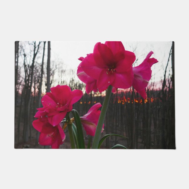 Red Amaryllis und Winter Sunrise Fußmatte (Vorderseite)
