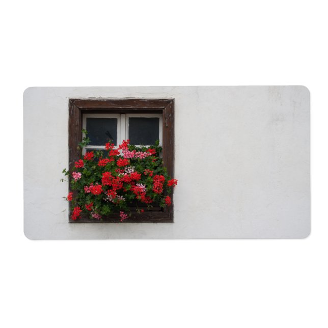 Red And Pink Pelargonium (Vorne)