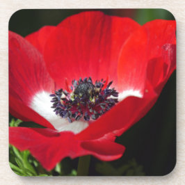 Red Anemone.JPG Getränkeuntersetzer