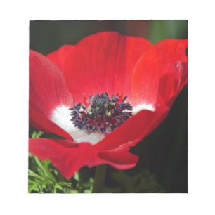 Red Anemone.JPG Notizblock