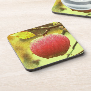 "Red Apple" Niedliches Foto. Jetzt kaufen Getränkeuntersetzer