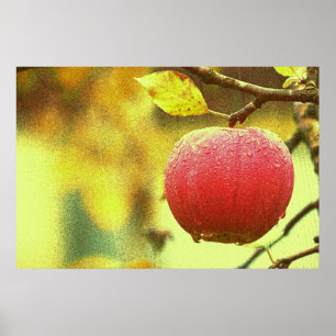 "Red Apple" Niedliches Foto. Jetzt kaufen Poster