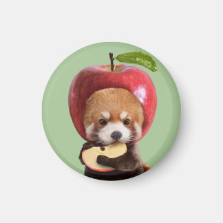 Red Apple Panda Magnet