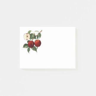 Red Apples Botanical Teacher Name 4x3 Post-it Klebezettel