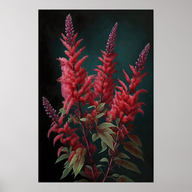 Red Astilbe Blumen Art Print Poster (Vorne)