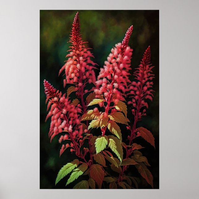 Red Astilbe Blumen Art Print Poster (Vorne)