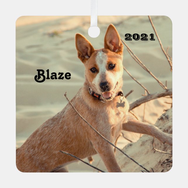 Red Australian Cattle Dog - Heeler - im Schnee Ornament Aus Metall (Vorderseite)
