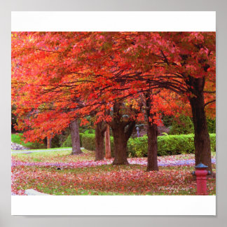 Red Autumn Glory by MiySpirit Poster