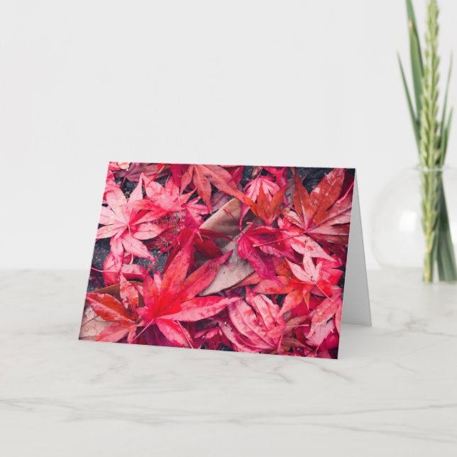 Red Autumn Leaves Feiertagskarte (Vorderseite)