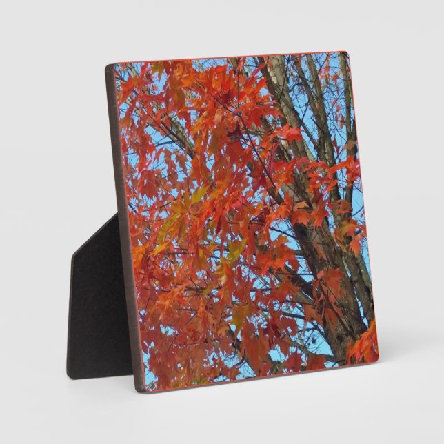 Red Autumn Leaves Fotoplatte (Vorderseite)