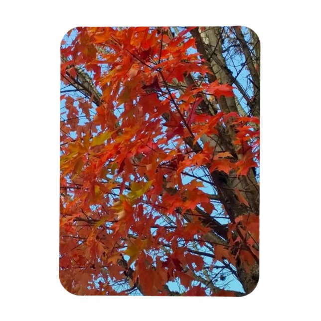 Red Autumn Leaves Magnet (Vertikal)