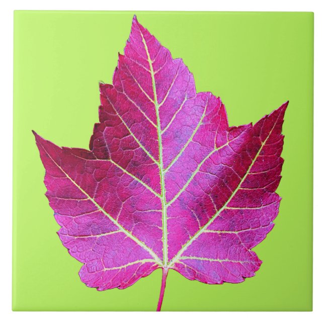 Red Autumn Maple Leaf on Green Background Fliese (Vorderseite)