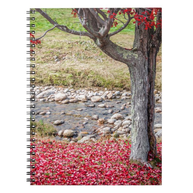 Red Autumn Tree Notebook Notizblock (Vorderseite)