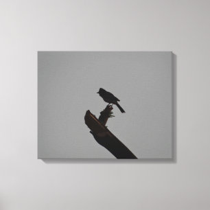 Red-Ave Bulbul in Silhouette Stilfotografie Leinwanddruck