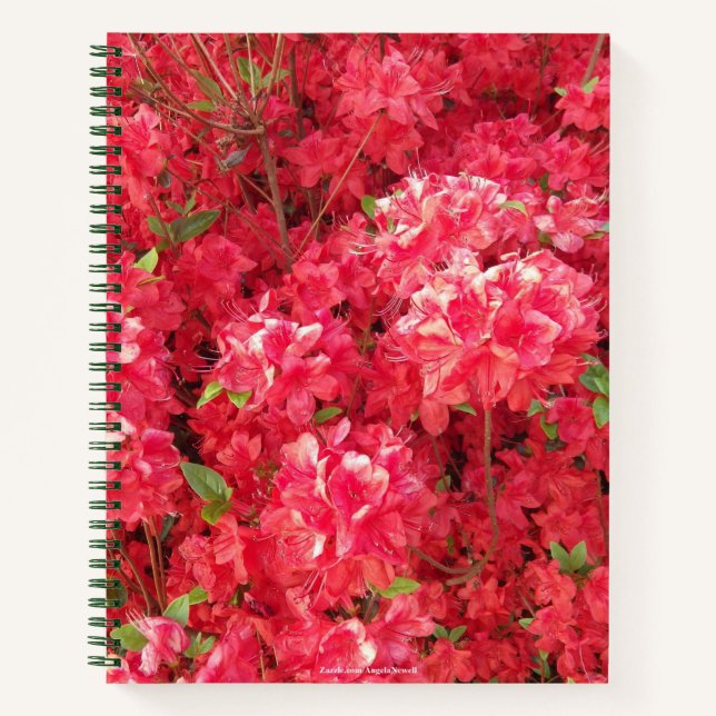 Red Azalea Notebook Notizbuch (Vorderseite)