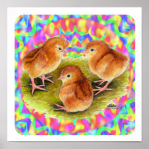 Red Baby Chicks Poster