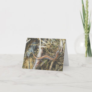 Red Backed Salamander Note Card Feiertagskarte