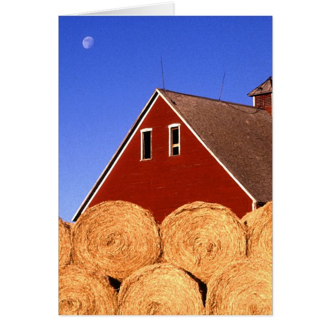 Red Barn Moon (Vorne)