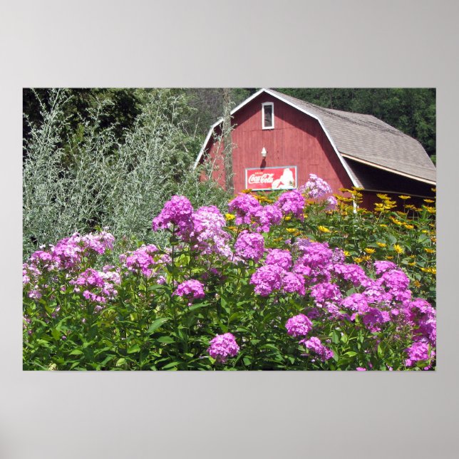 Red Barn Poster (Vorne)