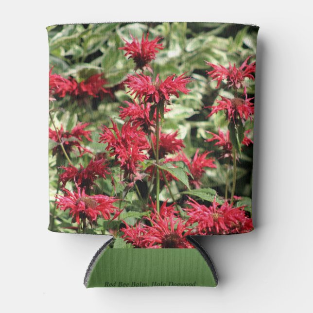 Red Bee Balm & Halo Dogwood Dosenkühler (Vorderseite)