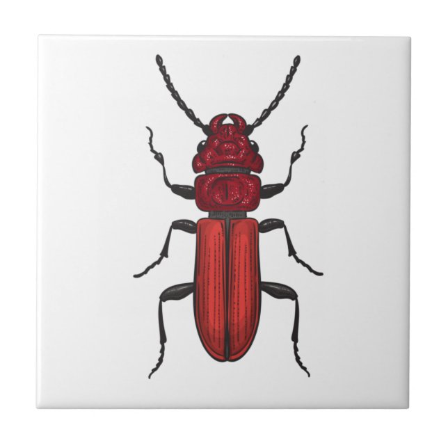Red beetle fliese (Vorderseite)