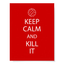 Red Behalt Calm Volleyball Poster