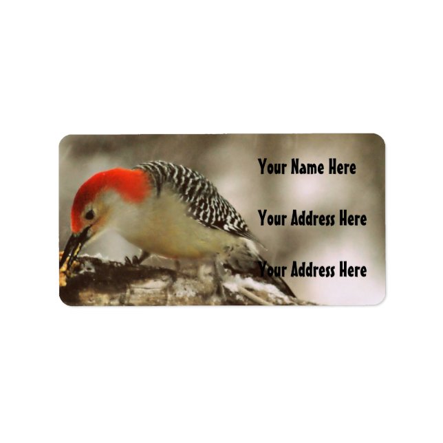 Red Bellied Woodpecker Adressaufkleber (Vorne)