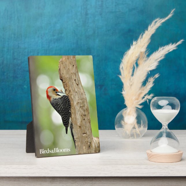 Red-Bellied Woodpecker Fotoplatte (Seite)