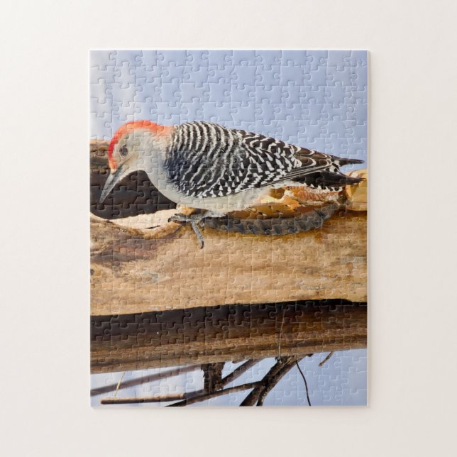 Red-Bellied Woodpecker Jigsaw Puzzle (Vertikal)