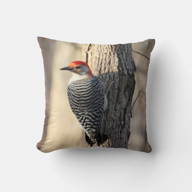Red Bellied Woodpecker Kissen (Vorderseite)