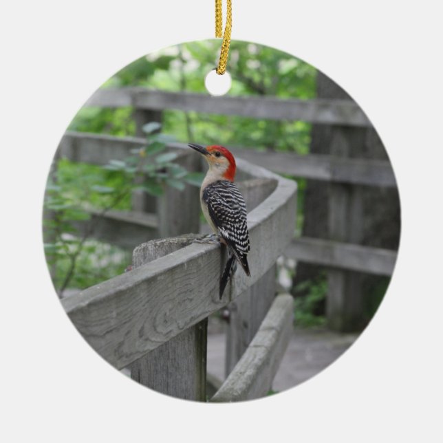 Red-bellied woodpecker ornament (Vorne)