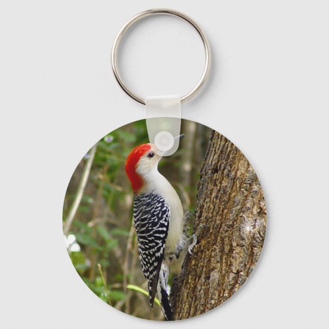 Red Bellied Woodpecker Schlüsselanhänger (Vorderseite)