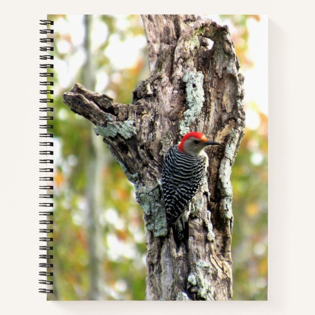 Red-Bellied Woodpecker Spiral Notebook Notizbuch (Vorderseite)