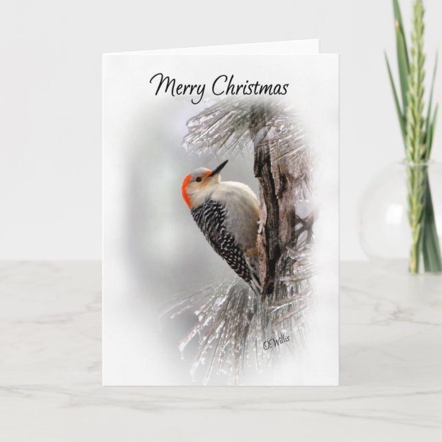 Red-Bellied Woodpecker Weihnachtskarte Karte (Vorderseite)