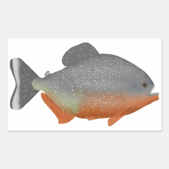 Red Belly Piranha Rechteckiger Aufkleber (Vorderseite)