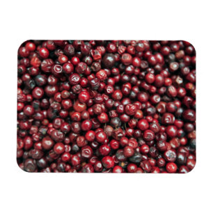 Red berries of the Himalayas Magnet