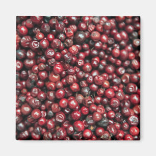 Red berries of the Himalayas Magnet