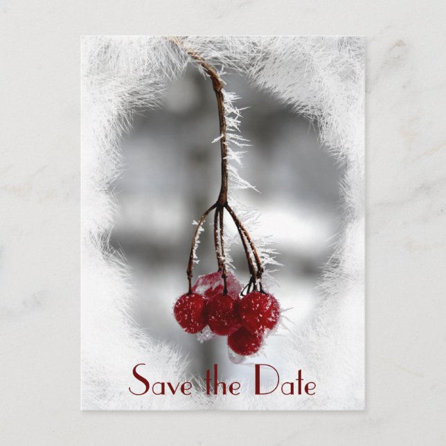 Red Berries und Frost Winter Wedding Save the Date Ankündigungspostkarte (Vorderseite)