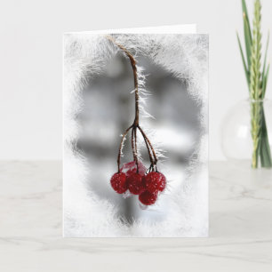 Red Berry Christmas Birthday Card Feiertagskarte