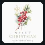 Red Berry Fir Winter Christmas Foliage Wasserfarbe Quadratischer Aufkleber<br><div class="desc">Wenn Sie weitere Anpassungen benötigen,  schreiben Sie mir bitte an yellowfebstudio@gmail.com.</div>