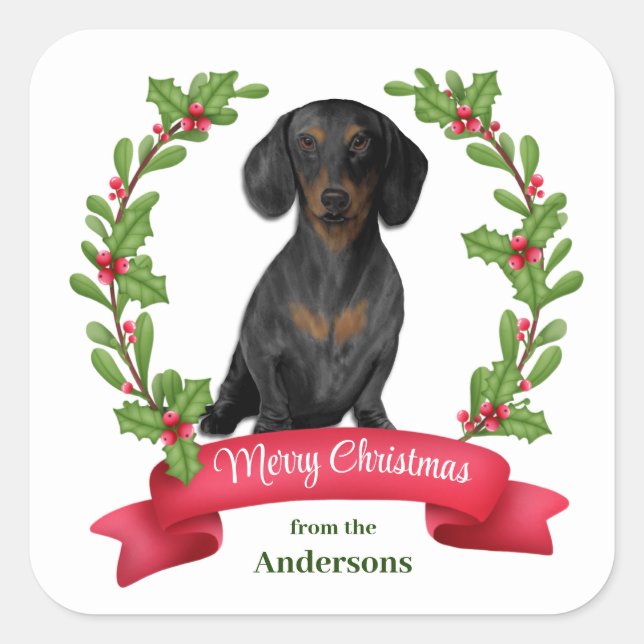 Red Berry Holly Banner Dackel Weihnachten Quadratischer Aufkleber (Vorderseite)