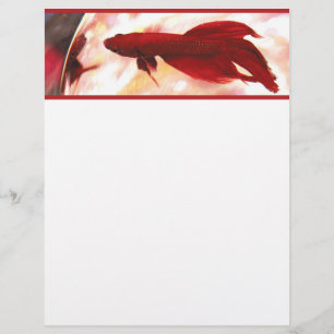 Red Betta Fish