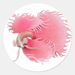 Red Betta Splendens Fish Sticker